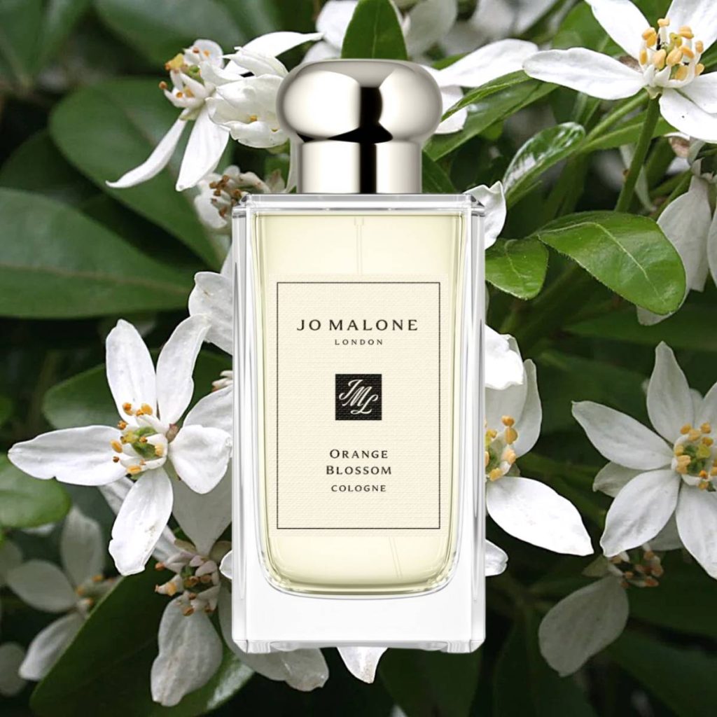 Nước hoa Jo Malone London Orange Blossom